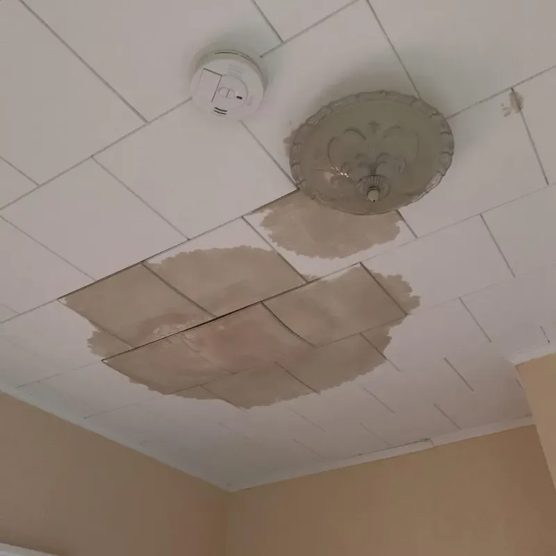 Ceiling Water Damage Repair in Lake Dalecarlia, IN
