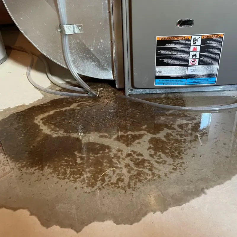 Pipe Burst and Leak Restoration in Lake Dalecarlia, IN