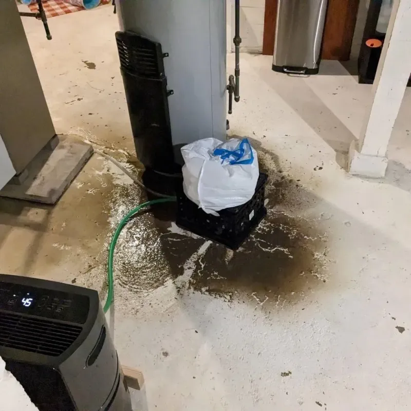 Sewage Backup Cleanup Service in Lake Dalecarlia, IN